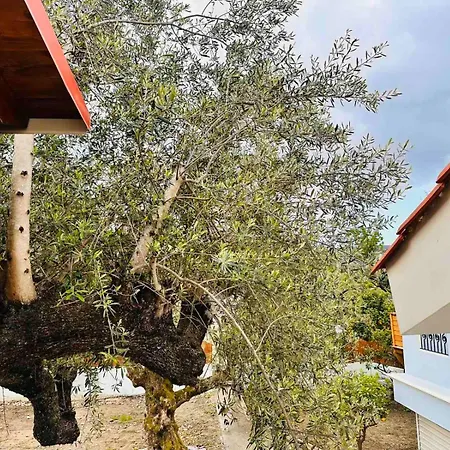 Elea In Nature, 2 Villas, Pool & Treehouse Nest In Pantokratoras