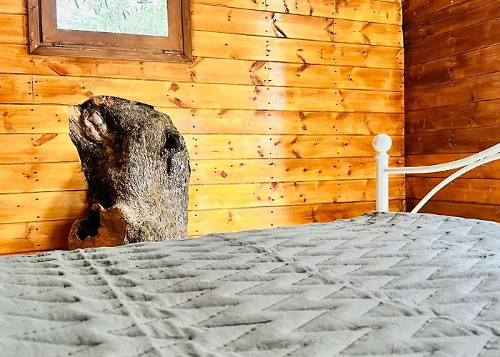 Villa Elea In Nature, 2 Villas, Pool & Treehouse Nest In Pantokratoras Pandokrátor