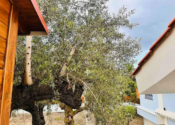 Elea In Nature, 2 Villas, Pool & Treehouse Nest In Pantokratoras