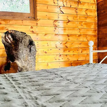 Vila Elea In Nature, 2 Villas, Pool & Treehouse Nest In Pantokratoras Pandokrátor