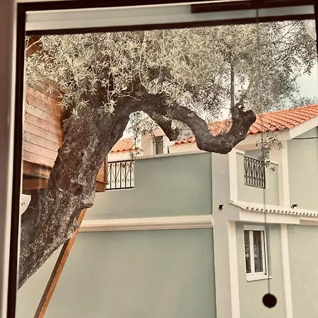 Elea In Nature, 2 Villas, Pool & Treehouse Nest In Pantokratoras Vila